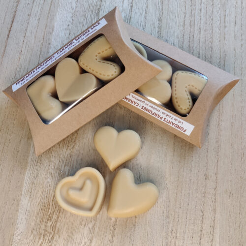 Fondants parfumés <br> à la cire – Image 2